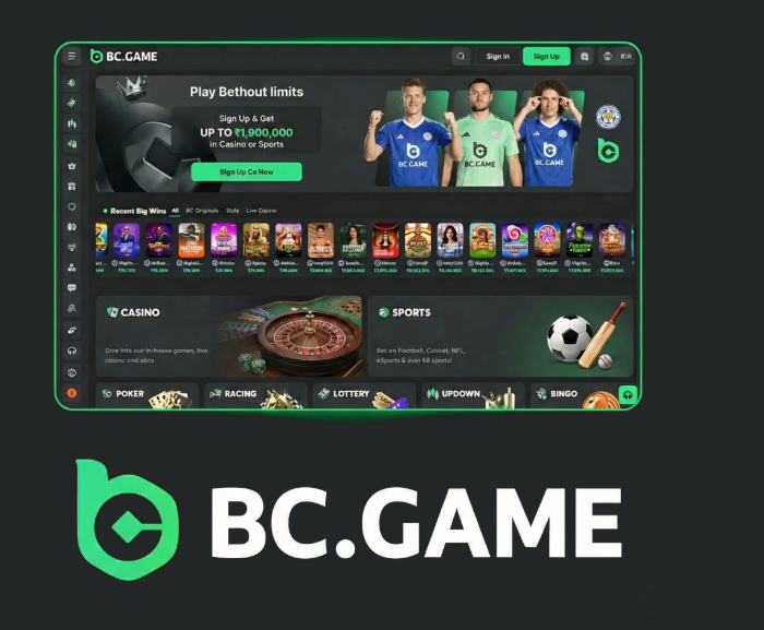 Discovering the World of BC.Game Crypto Casino