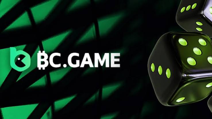 Understanding the BC.Game Mirror App A Comprehensive Guide